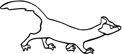 Ferret 5 Coloring Page